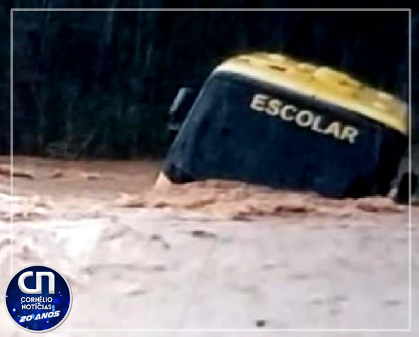 Motorista salva vida de 12 crianças em ônibus tomado por enchente