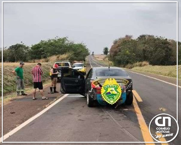 Idoso de 73 anos fica ferido após bater carro contra barranco na PR-160