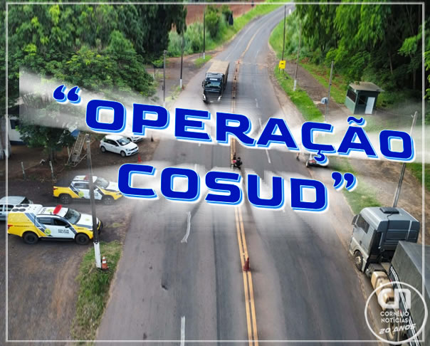 PM apreende drogas, armas e veículos em ação integrada no Paraná