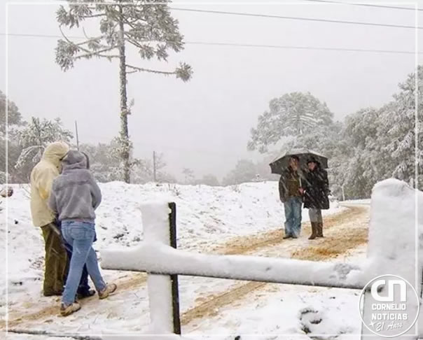 Serras de Santa Catarina e Rio Grande do Sul amanhecem com neve