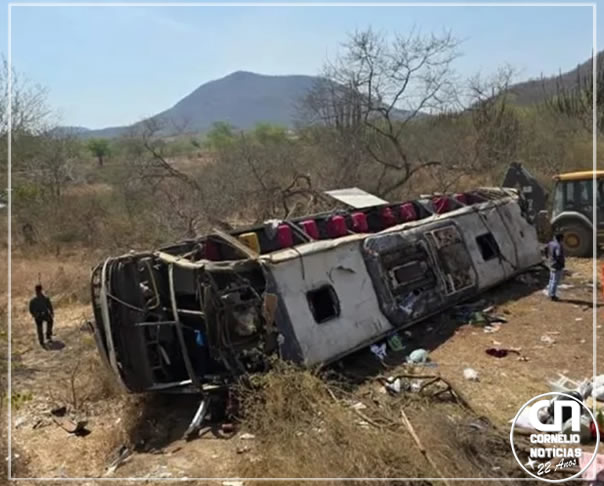 Acidente com ônibus de romeiros deixa ao menos 15 mortos em Alagoas