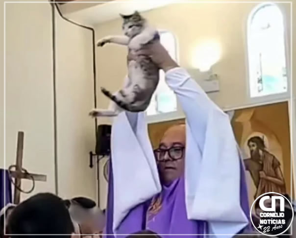 Criança interrompe missa com gato e pede para o sacerdote abençoar animal