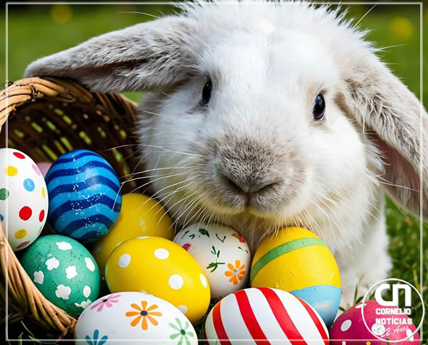 Inflação faz preço do chocolate disparar na Páscoa