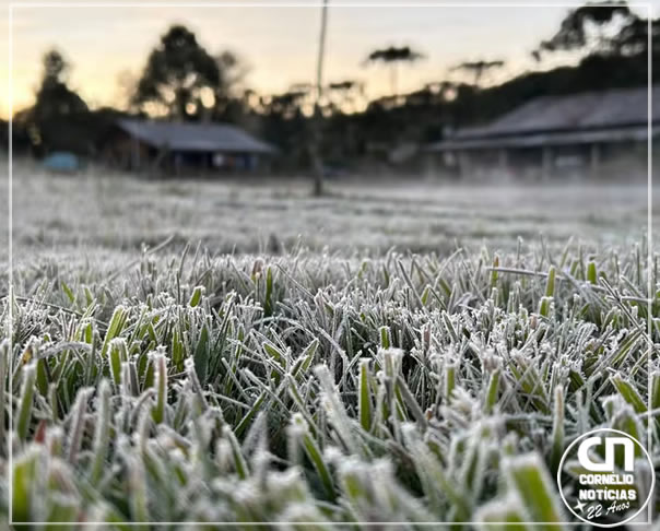 Frio perde intensidade, mas Paraná tem geada e temperaturas negativas