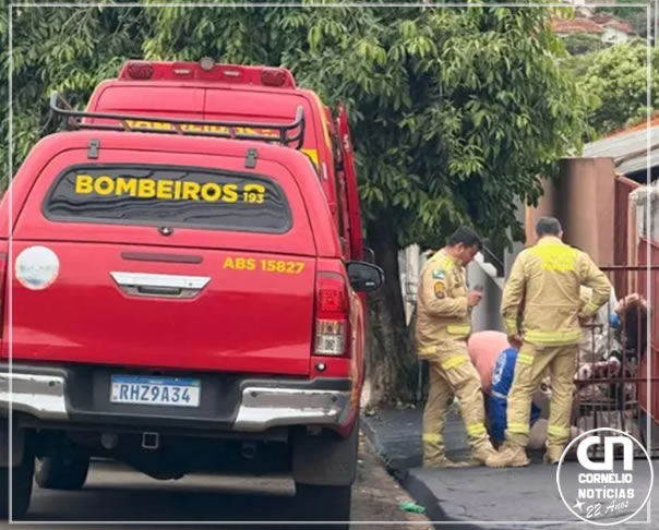 Trabalhadores são socorridos às pressas após ataque de abelhas