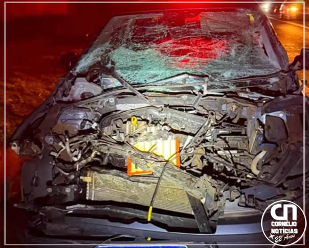 Prefeito de Cornélio Procópio se envolve em acidente na BR-369