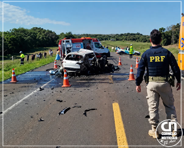 Motorista de carro elétrico morre carbonizado em acidente na BR-277