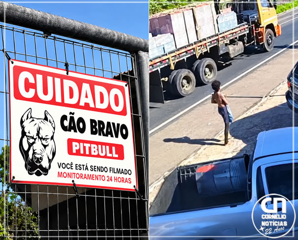 Mulher em situação de rua morre em ataque de cães ao invadir barracão em Londrina