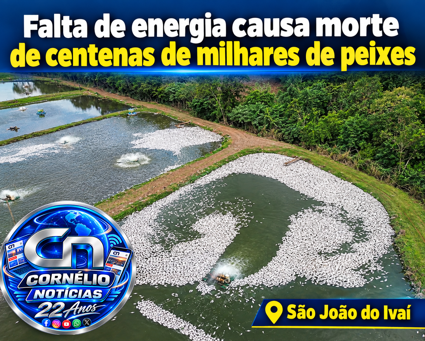 Falta de energia causa morte de centenas de milhares de peixes no Paraná