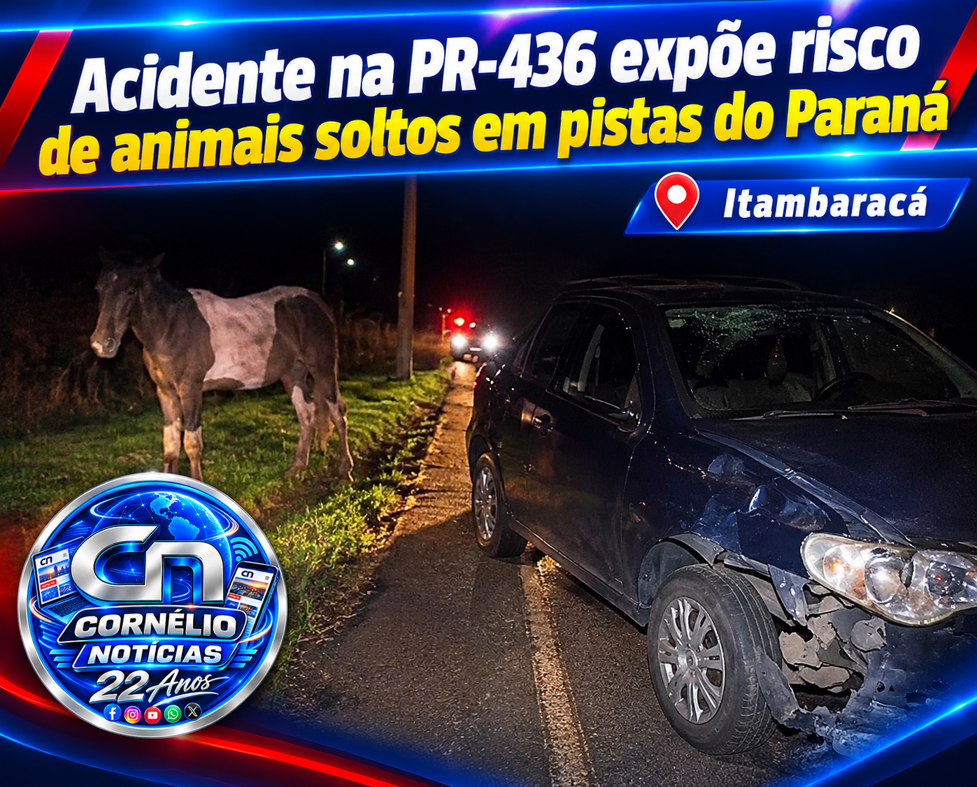 Acidente na PR-436 expõe risco de animais soltos em pistas do Paraná