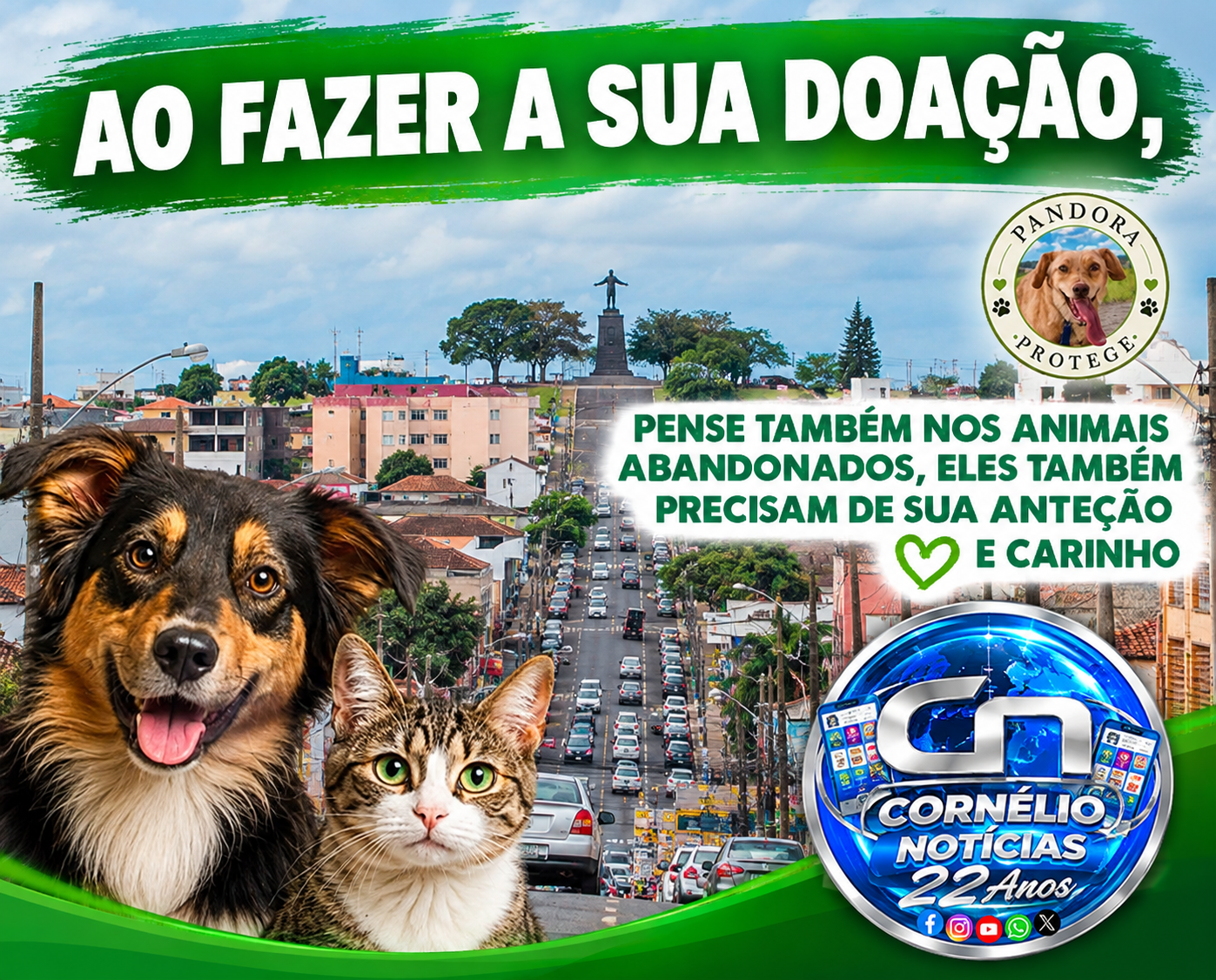 Voluntários precisam de doações para continuar acolhendo animais abandonados