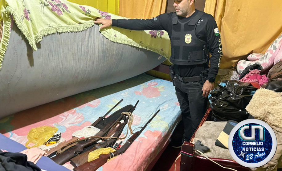 PC encontra armas e aves silvestres durante ação em Cornélio Procópio