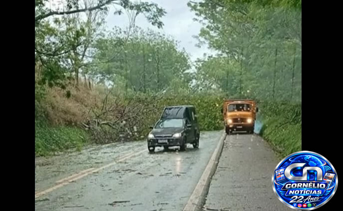 Forte Temporal provoca estragos em Cornélio Procópio e região